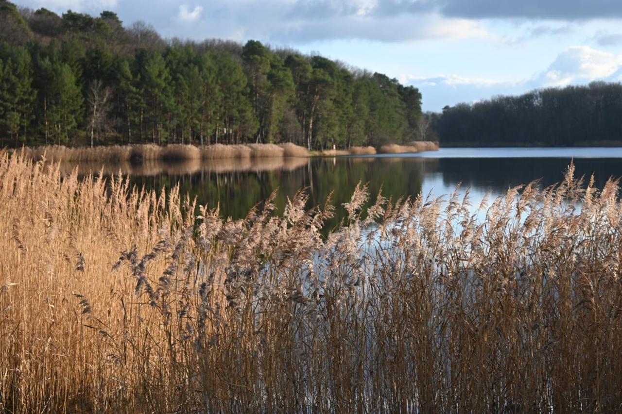 Aux 3 Forets Bizeneuille Bagian luar foto